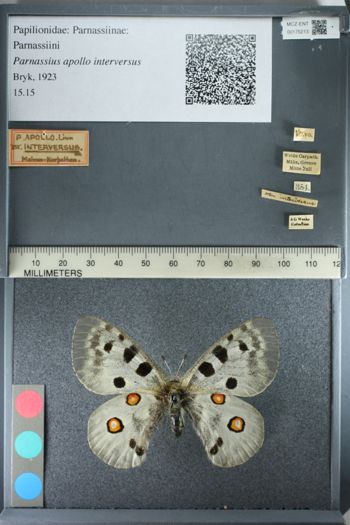 Media type: image;   Entomology 175213
